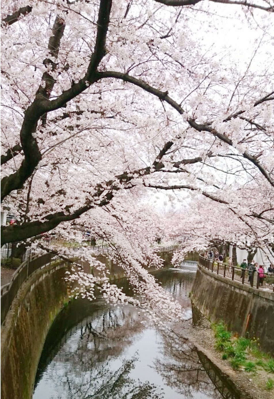 施設でのケアの様子